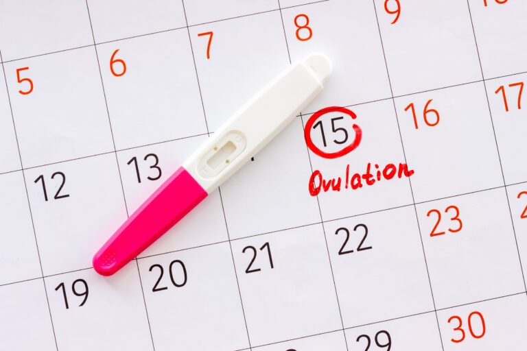 calculateur date ovulation we-mag.com​